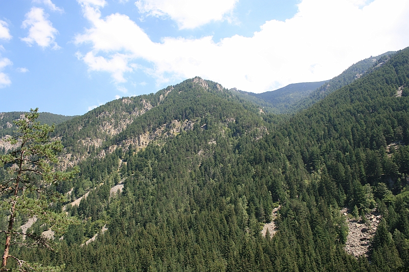 Bulgaria 2008 568